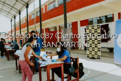 Colegio 01087 (Centro Educativo en SAN MARTIN)