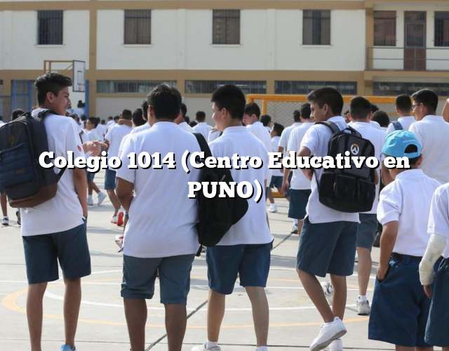 Colegio 1014 (Centro Educativo en PUNO)