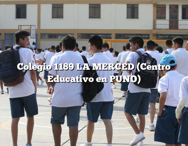 Colegio 1189 LA MERCED (Centro Educativo en PUNO)
