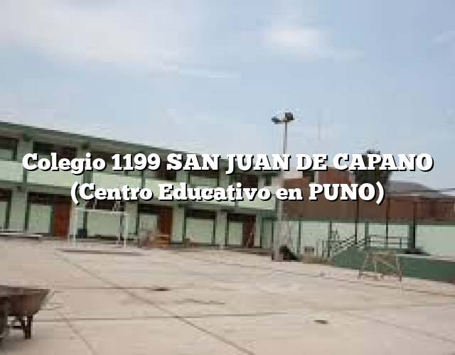 Colegio 1199 SAN JUAN DE CAPANO (Centro Educativo en PUNO)