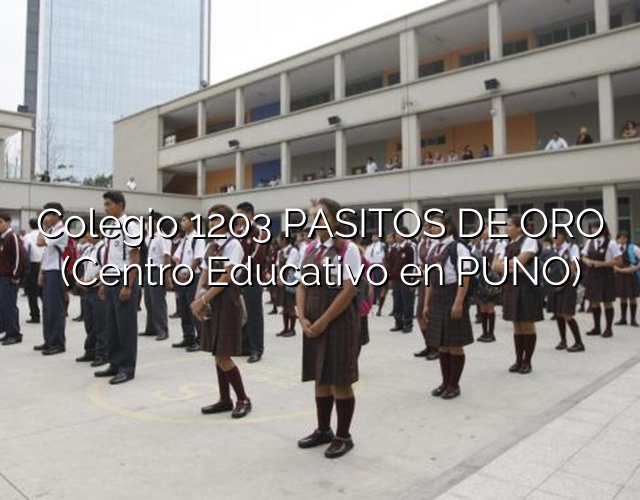 Colegio 1203 PASITOS DE ORO (Centro Educativo en PUNO)