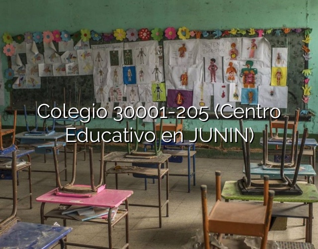 Colegio 30001-205 (Centro Educativo en JUNIN)