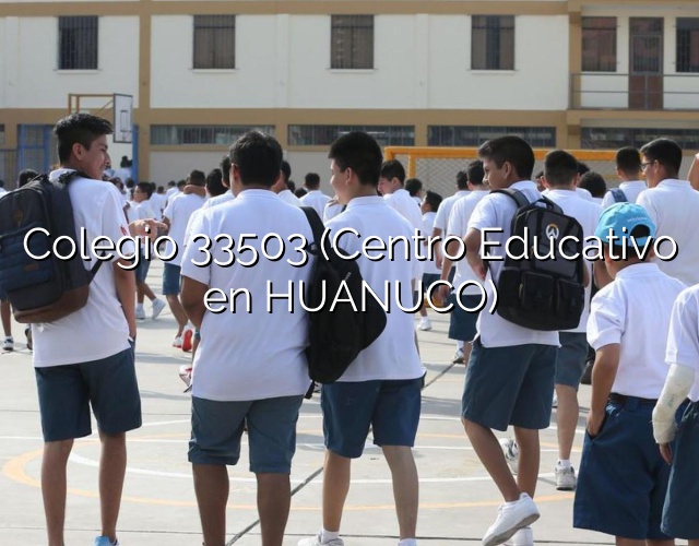 Colegio 33503 (Centro Educativo en HUANUCO)