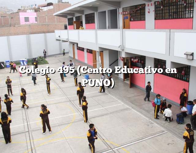 Colegio 495 (Centro Educativo en PUNO)