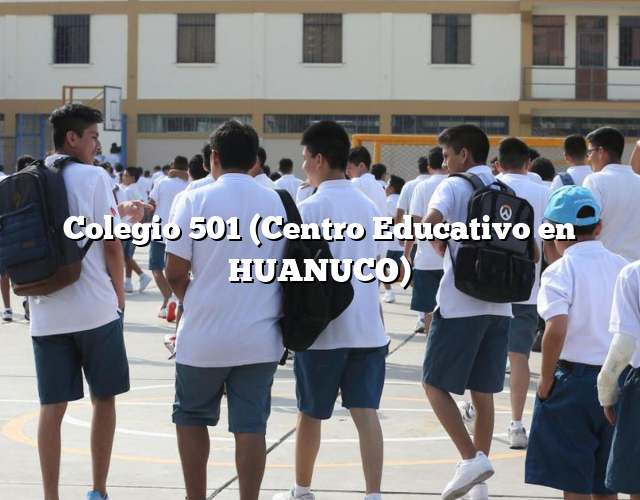 Colegio 501 (Centro Educativo en HUANUCO)