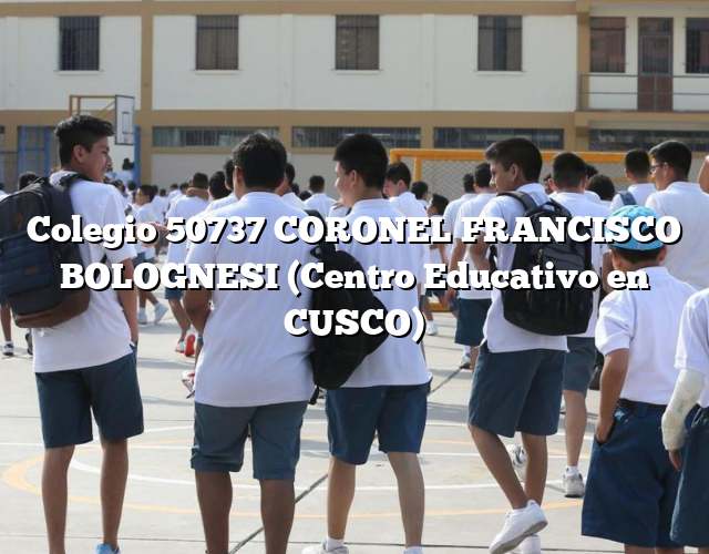 Colegio 50737 CORONEL FRANCISCO BOLOGNESI (Centro Educativo en CUSCO)