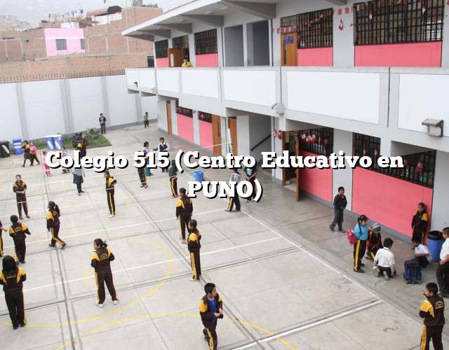 Colegio 515 (Centro Educativo en PUNO)