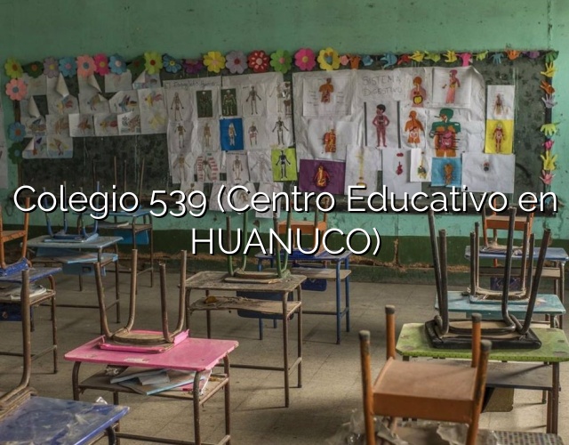 Colegio 539 (Centro Educativo en HUANUCO)