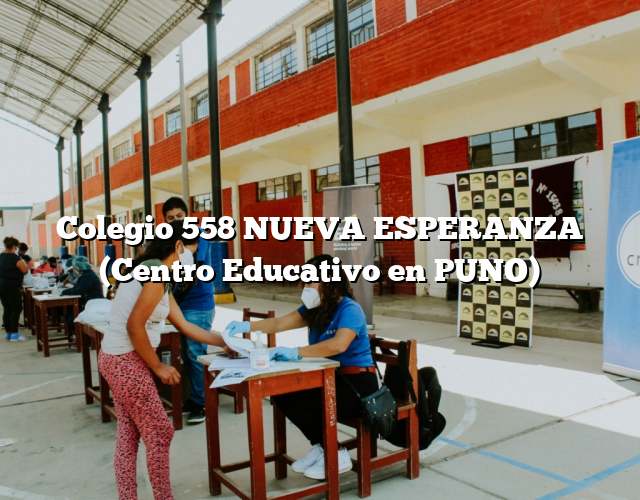 Colegio 558 NUEVA ESPERANZA (Centro Educativo en PUNO)