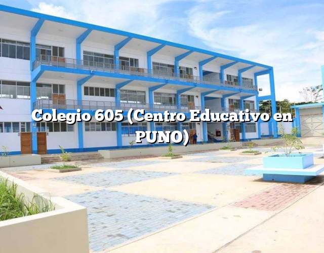 Colegio 605 (Centro Educativo en PUNO)