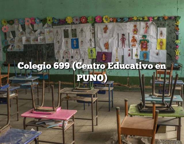 Colegio 699 (Centro Educativo en PUNO)
