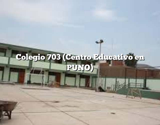 Colegio 703 (Centro Educativo en PUNO)
