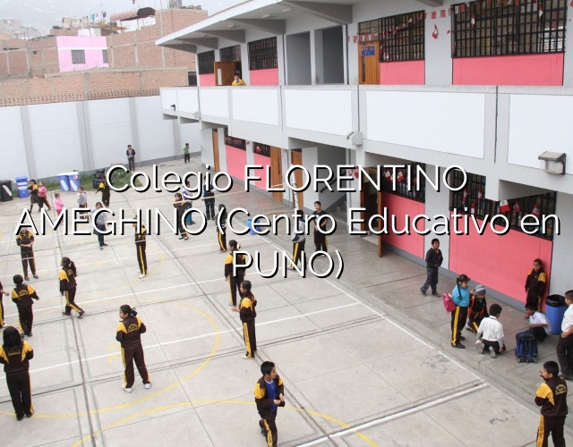 Colegio FLORENTINO AMEGHINO (Centro Educativo en PUNO)