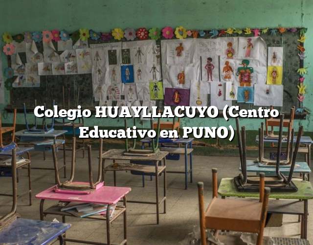 Colegio HUAYLLACUYO (Centro Educativo en PUNO)