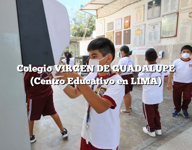 Colegio VIRGEN DE GUADALUPE (Centro Educativo en LIMA)